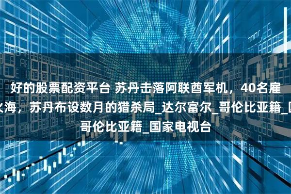 好的股票配资平台 苏丹击落阿联酋军机，40名雇佣兵葬身火海，苏丹布设数月的猎杀局_达尔富尔_哥伦比亚籍_国家电视台
